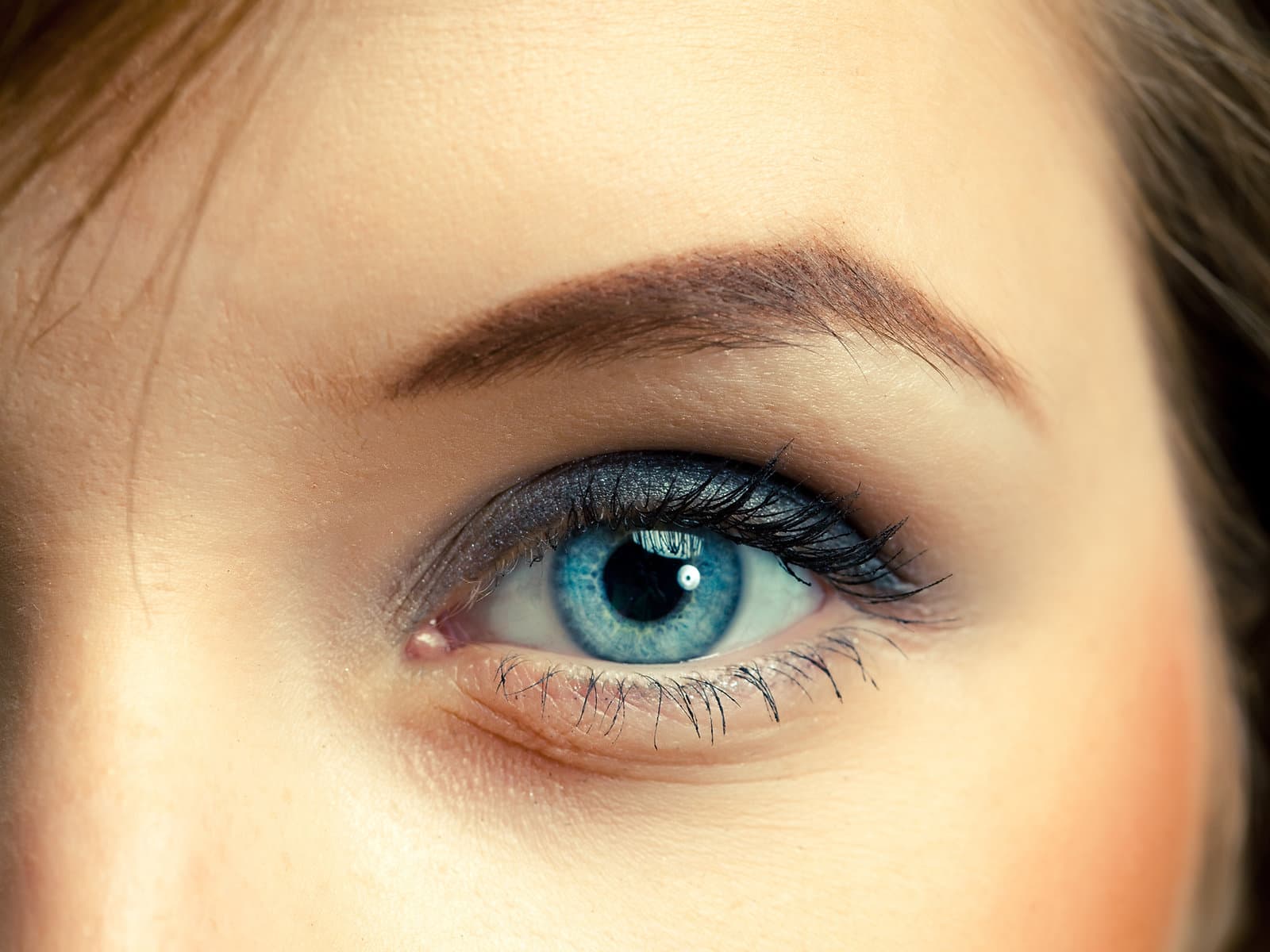 Photograph accompanying “EMDR vs Somatic Therapy: What's the Difference?”, nervous system and anxiety article from Silver Owl Therapy