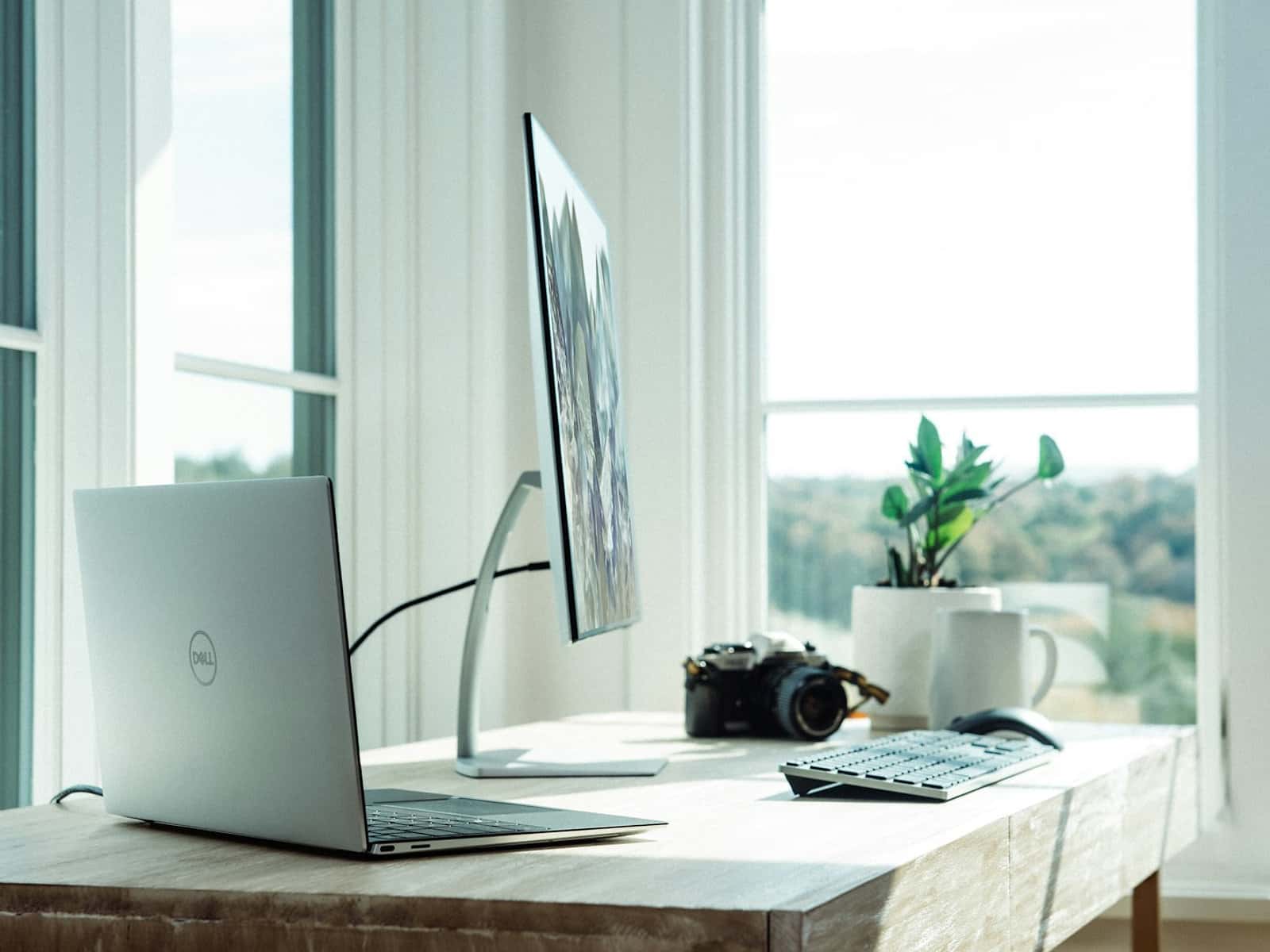 Photograph accompanying “Online somatic therapy in Ontario, how it works and what to actually expect”, somatic therapy article from Silver Owl Therapy