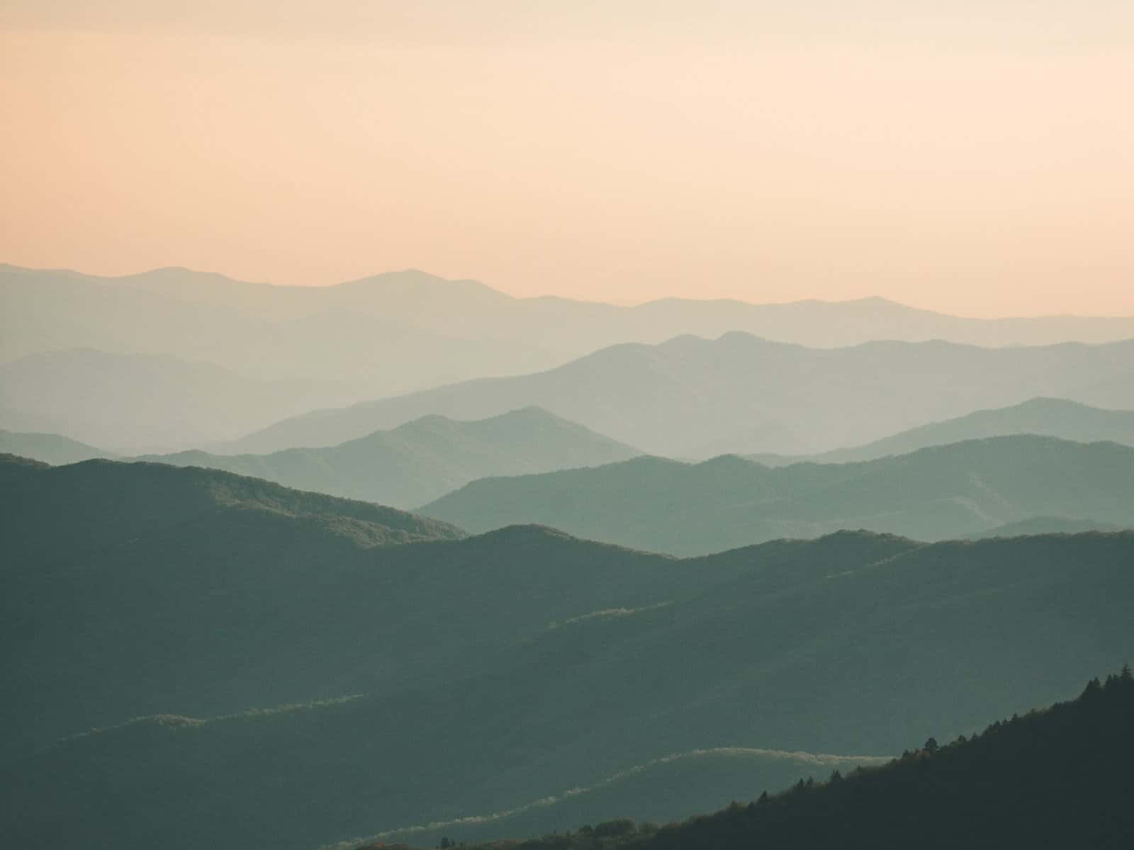 Photograph accompanying “What happens in a psychedelic experience that needs integrating”, psychedelic integration article from Silver Owl Therapy