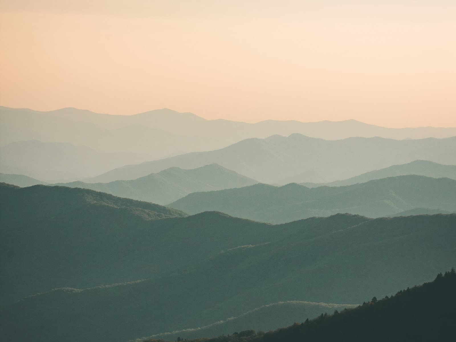 Photograph accompanying “What happens in a psychedelic experience that needs integrating”, psychedelic integration article from Silver Owl Therapy