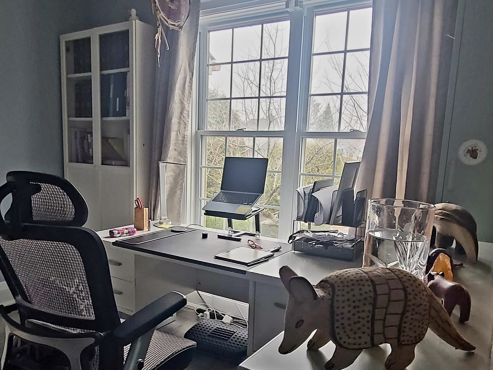Photograph accompanying “What I See from the Other Side of the Screen.”, somatic therapy article from Silver Owl Therapy