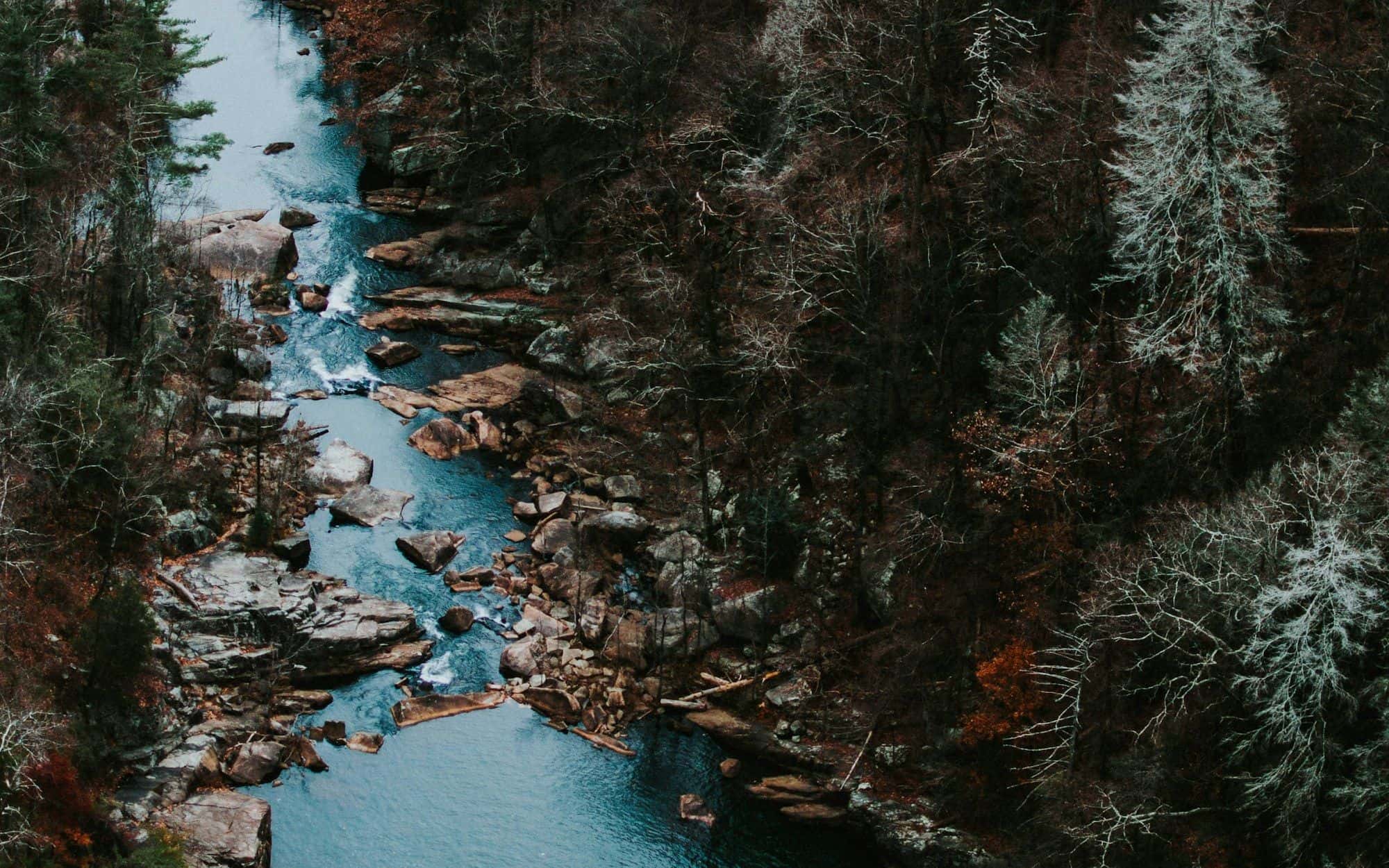 A turquoise stream cutting through dense forest, seen from above