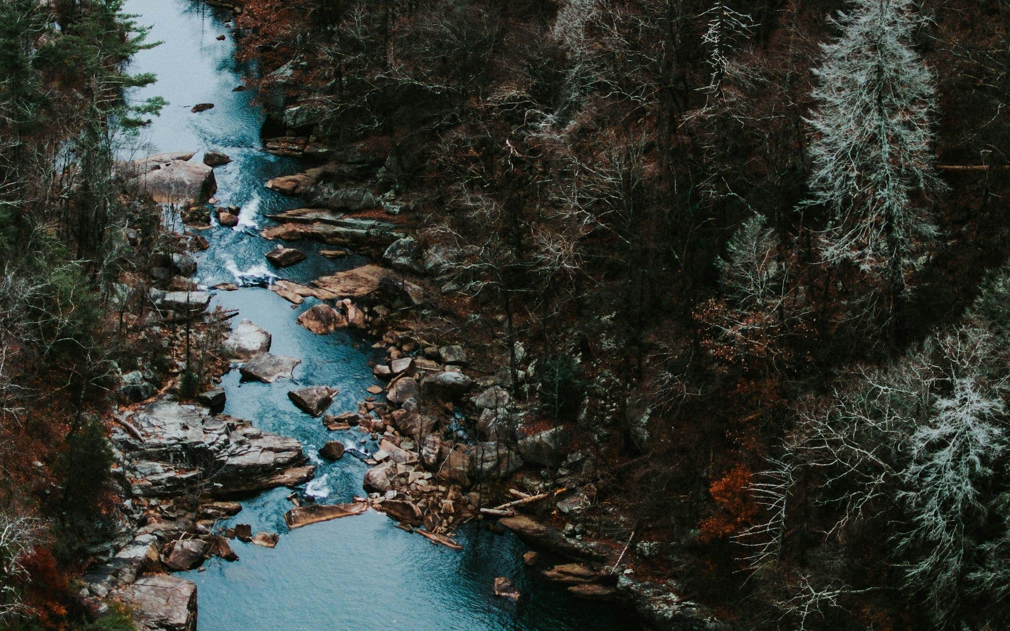 A turquoise stream cutting through dense forest, seen from above