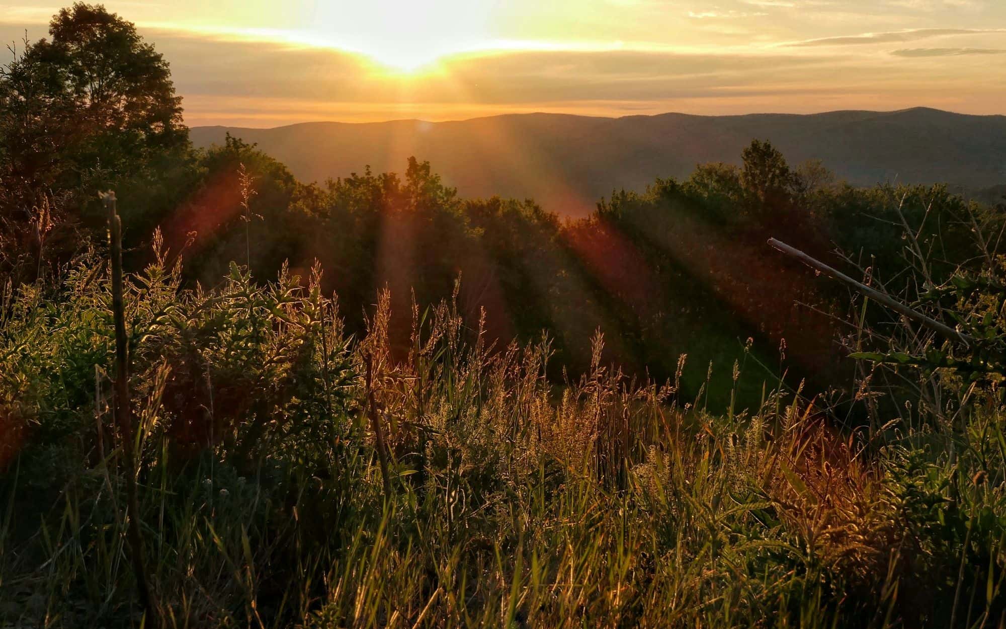 Sunrise beaming over rolling green hills