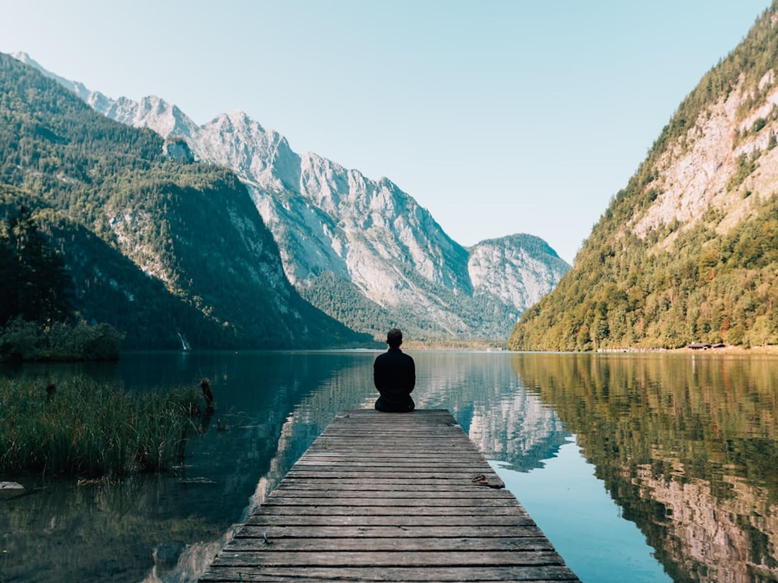 Photograph accompanying “What somatic therapy actually does for nervous system regulation”, nervous system and anxiety article from Silver Owl Therapy