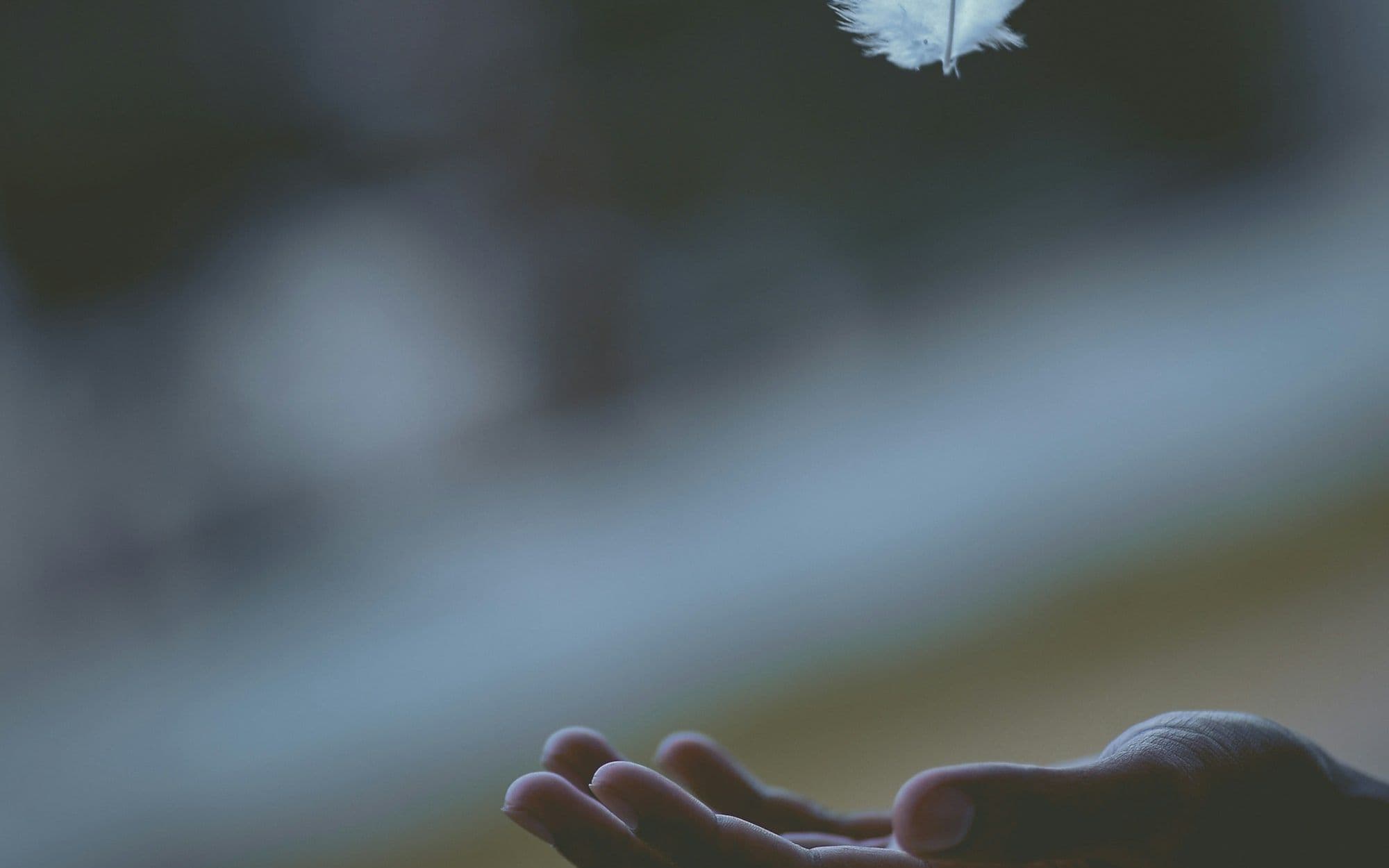 A white feather drifting down into an open hand