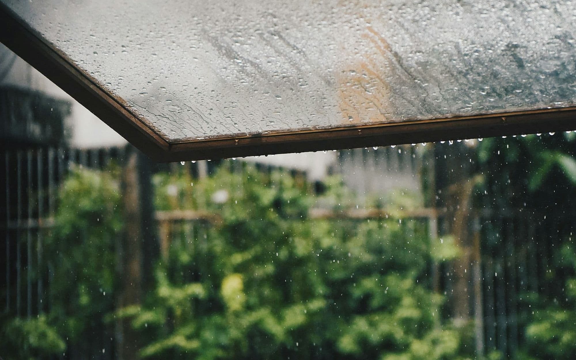 Raindrops running down a window pane