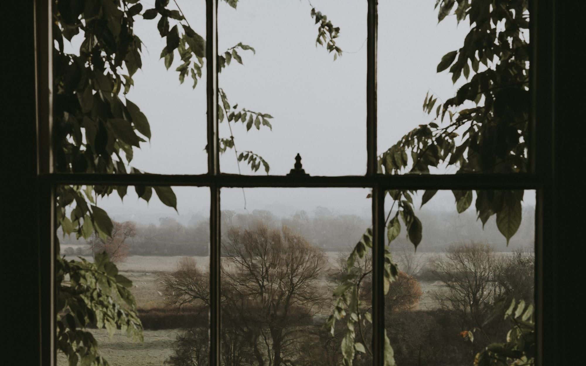A dark window frame opening onto green trees outside