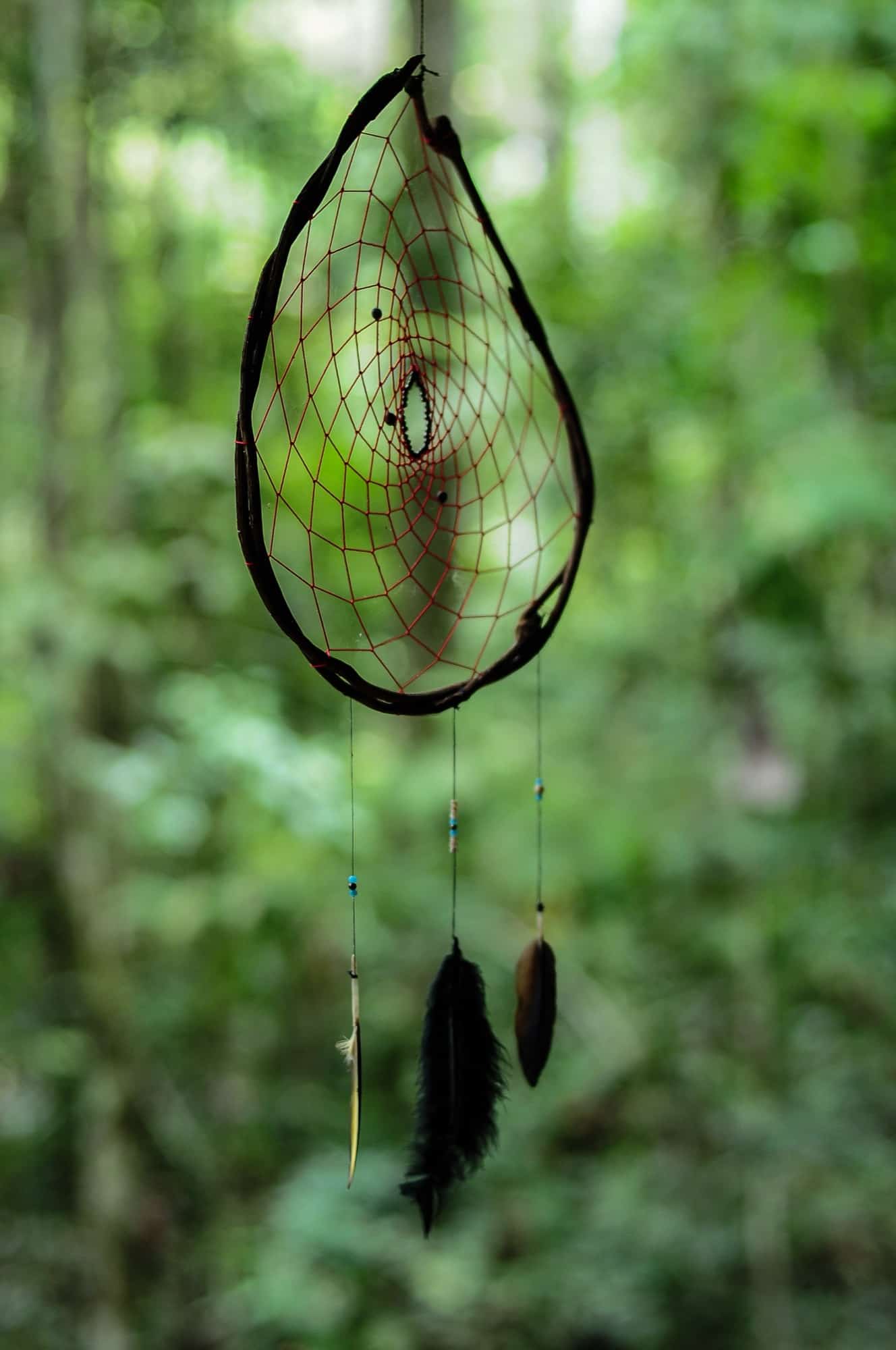 A simple woven hoop hanging among green forest leaves