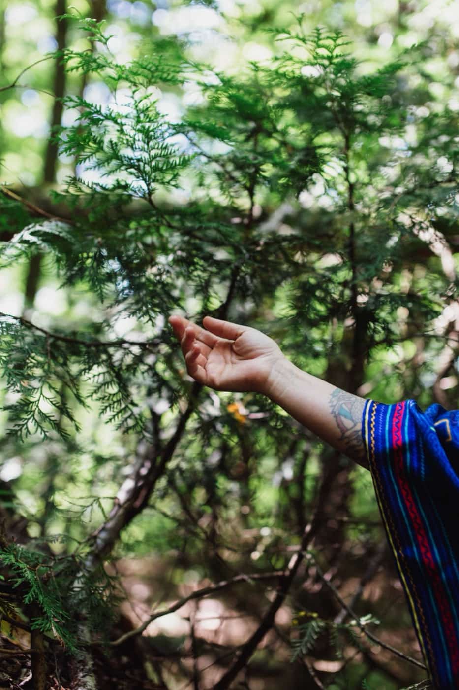 A woman in a cobalt shawl reaching toward a branch in green forest
